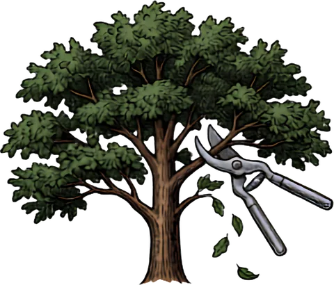 Tree trimming and pruning